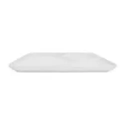 C.A.C. China RCN-P9 - Clinton Plate 9" - (2 Dozen per Case)