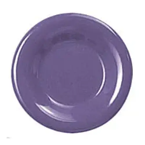 Thunder Group Round Wide Rim Round Plate - Purple - 10.5"  (12 per Case) [CR010BU]