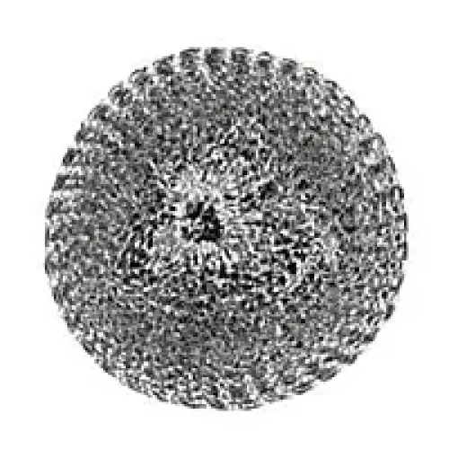 Thunder Group Stainless Steel Scrubber (12 per Case ) [SLSC002]